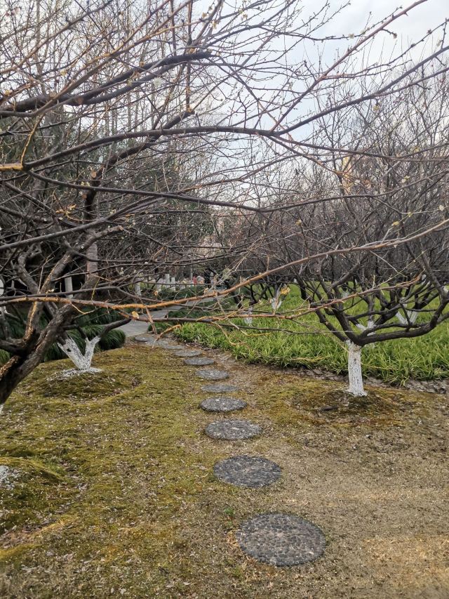 如意湖公园旅行图片 2