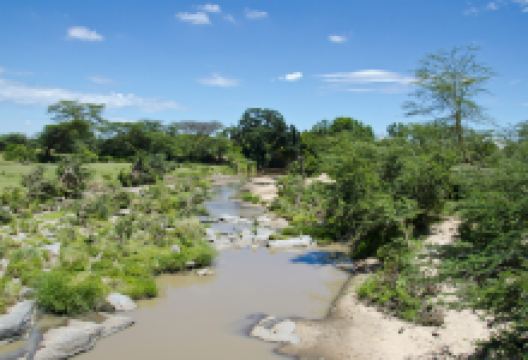 塔雷克河景点图片