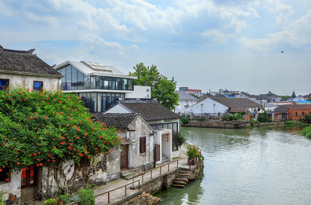 太平老街的这片花海,足以承包你的夏天