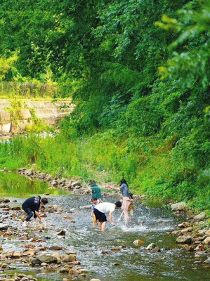 宁波这三个超清凉的避暑玩水地,公交就能到达!