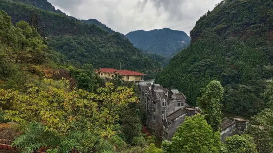 四面山猴園