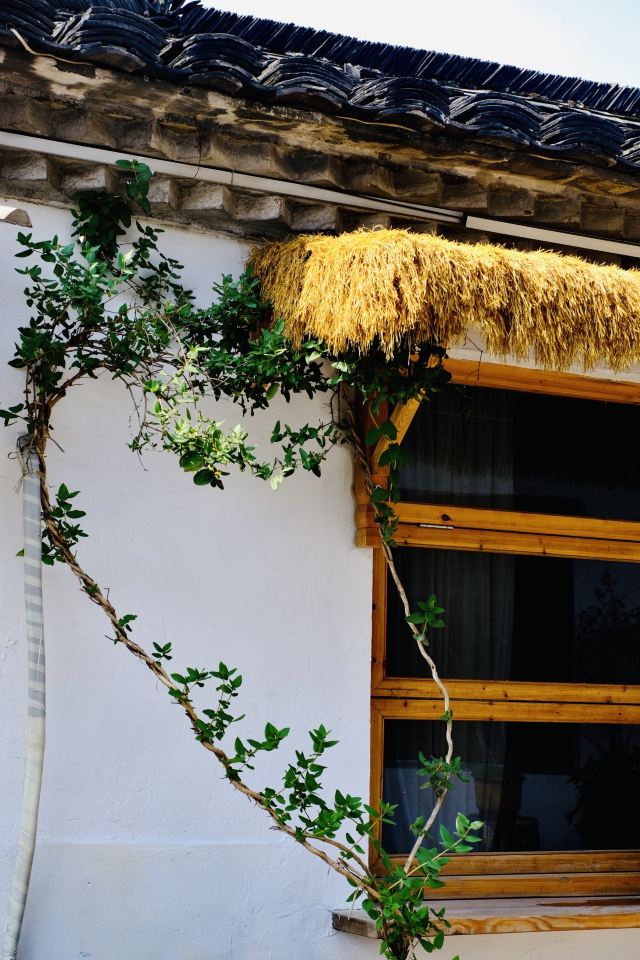西小路历史街区旅行图片 6
