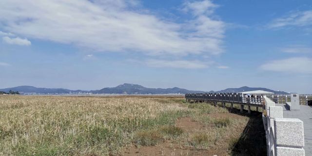 闽江河口国家湿地公园旅行图片 3