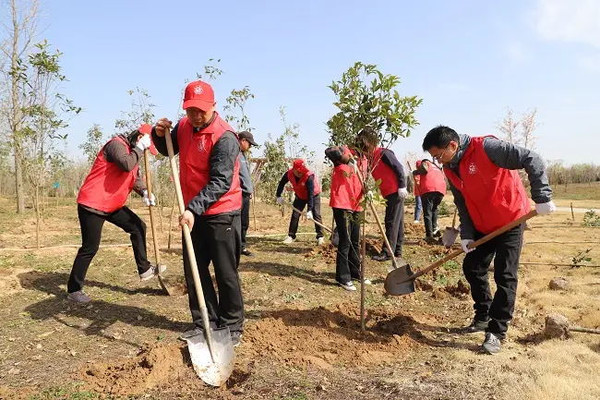 植树踏春主题团建场地推荐 选上海乐活营地