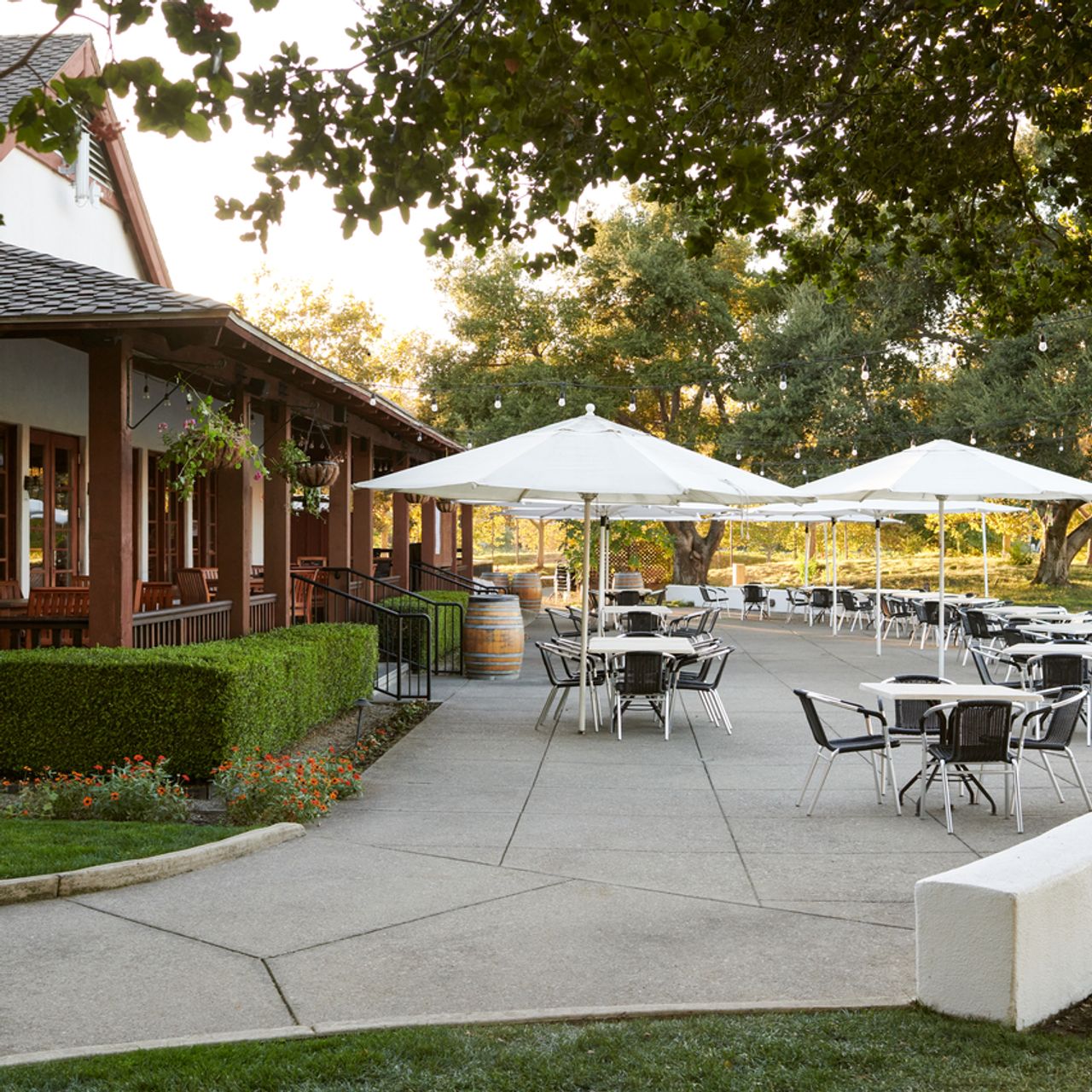 The Grill - Wente Vineyards