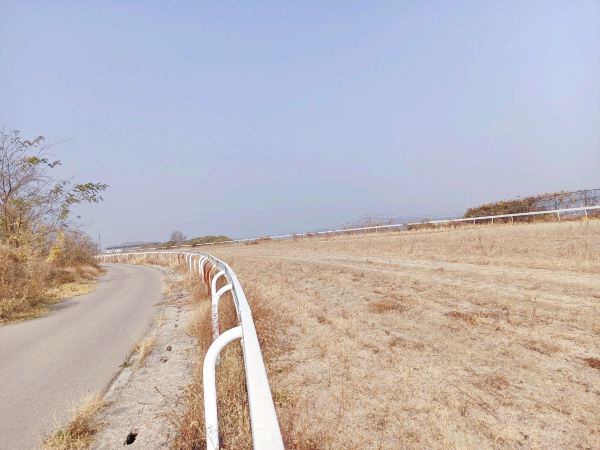 济南国际赛马场