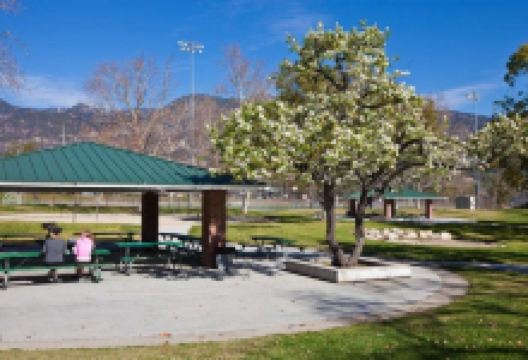 Victory Park景点图片