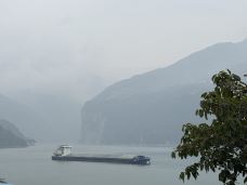 长江三峡-宜昌-岱山香橙