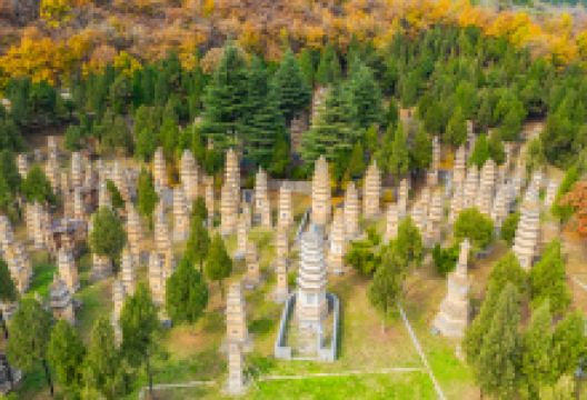 嵩山少林景区-塔林景点图片