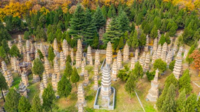 嵩山少林景區-塔林