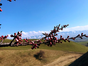 伊尔库茨克州游记图文-疫情期间游新疆