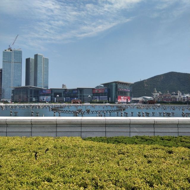 东港音乐喷泉广场旅行图片 6