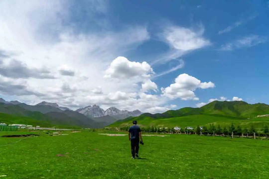 抓喜秀龙草原:闲听旱獭意阑珊