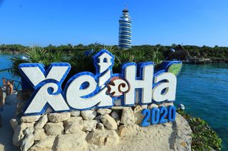 家庭游必玩清单中必须有它——墨西哥图卢姆谢哈水上公园