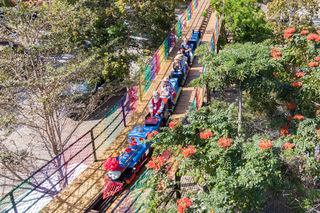 春天开往槟榔谷的小火车,到站了