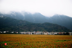 新宁游记图文-初春时节，大山深处，新宁县水庙镇新桥村风景