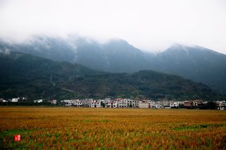 初春时节，大山深处，新宁县水庙镇新桥村风景