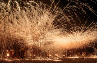 冯洪波：汝州正月盛开“铁犁花”