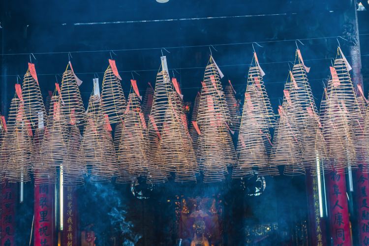 Ho Chi Minh City Brief Guide