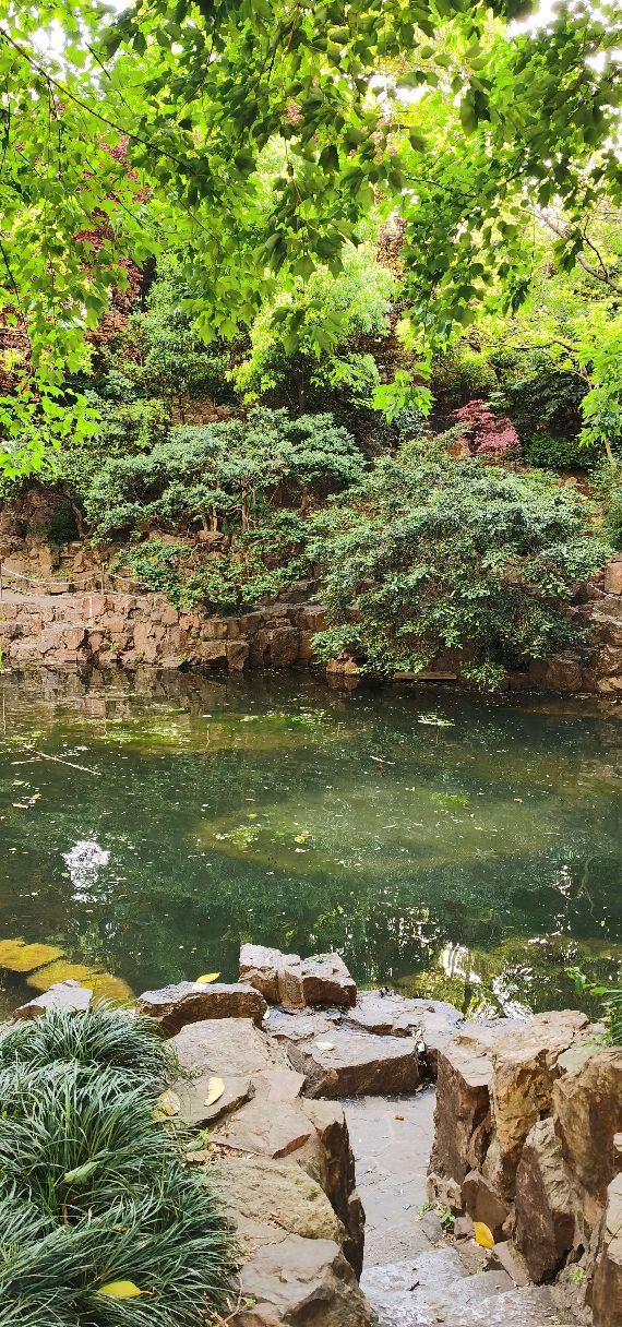 蓬莱公园旅行图片 4