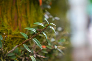 温州雁荡山的铁定溜溜，太值得来打卡，好玩好看老少皆宜