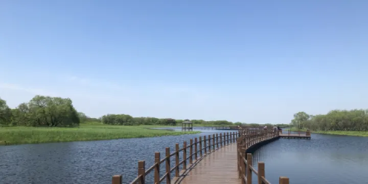 黑瞎子島植物園