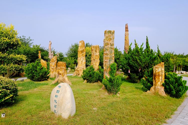 莱阳白垩纪国家地质公园