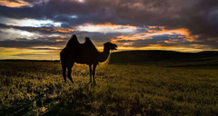 张北游记图片] 草原天路“月底狂欢行”不见不散！不留遗憾！