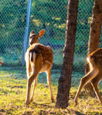 朝天区游记图文-记录我的3天2晚踏秋之旅，全程吃住在景区，一份简单小攻略送给你