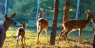 记录我的3天2晚踏秋之旅,全程吃住在景区,一份简单小攻略送给你