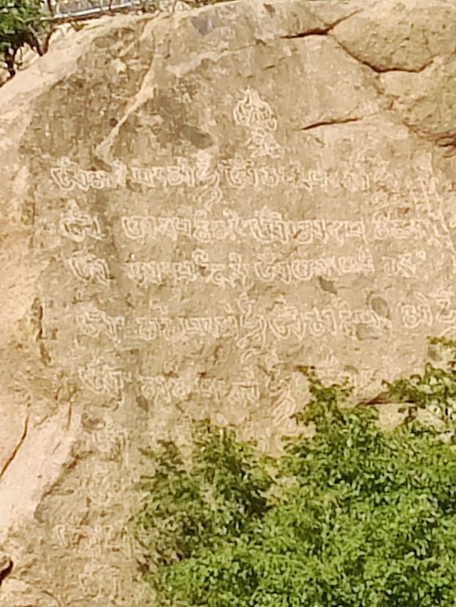 大仙山旅行图片 8