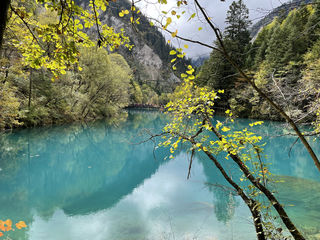 最美九寨游#途观L