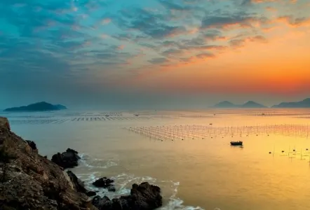 短表島