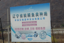本溪市虹鳟鱼良种场景点图片