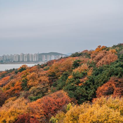 韩国首尔+仁川+釜山+景福宫+月尾岛+海东龙宫寺7日6晚拼小团