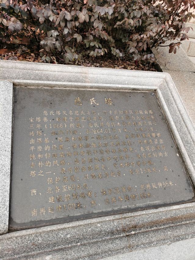 慈氏塔旅行图片 2