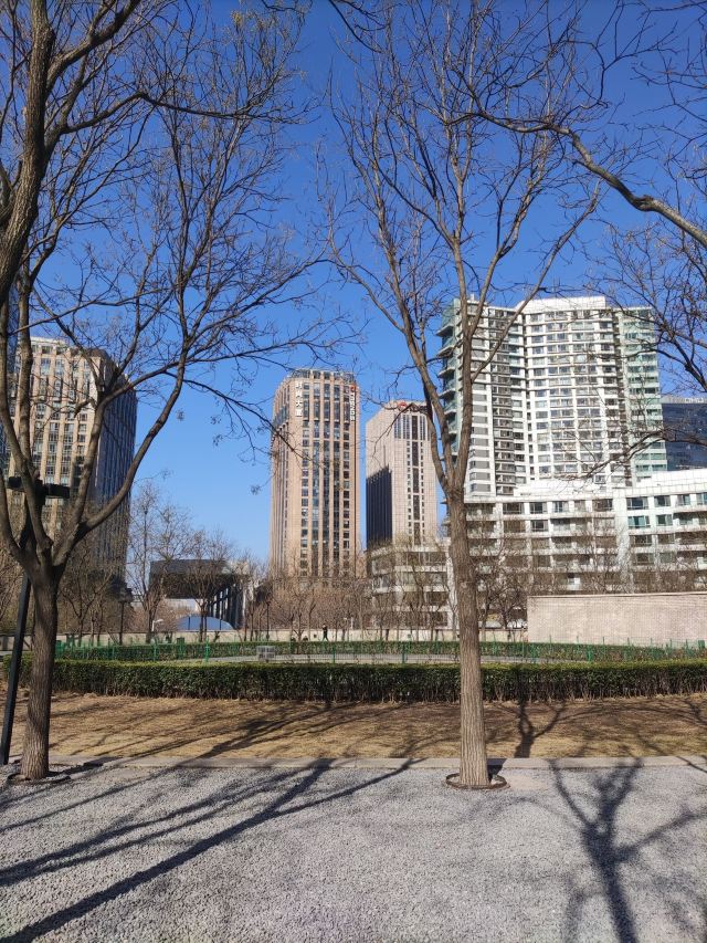 CBD历史文化公园旅行图片 5