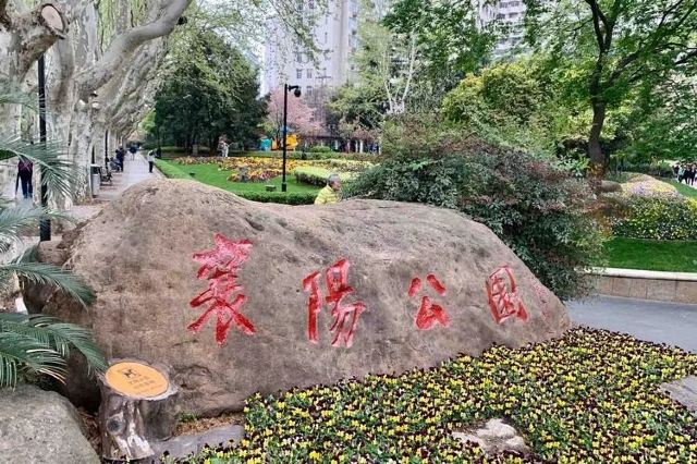 襄阳公园旅行图片 3