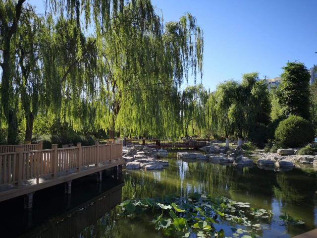 北京国际雕塑公园旅行图片 5