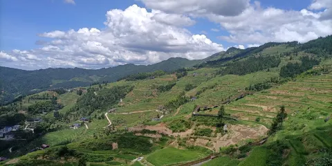 漵浦山背花瑤梯田景區