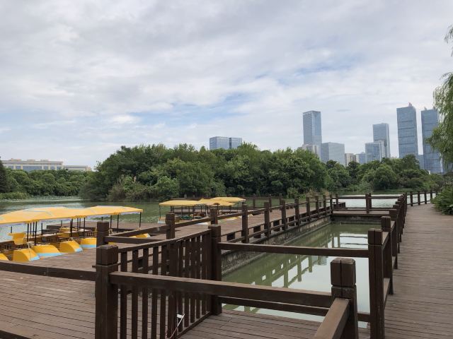 艾溪湖森林湿地公园旅行图片 3