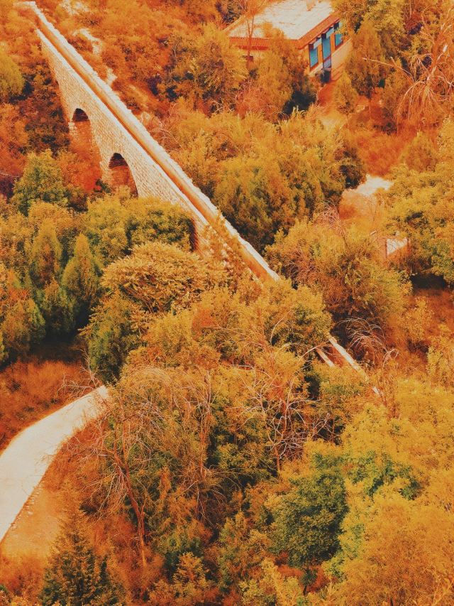 崛围山旅行图片 13
