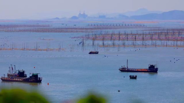 小皓海滩旅行图片 6
