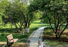 梨园主题公园景点图片