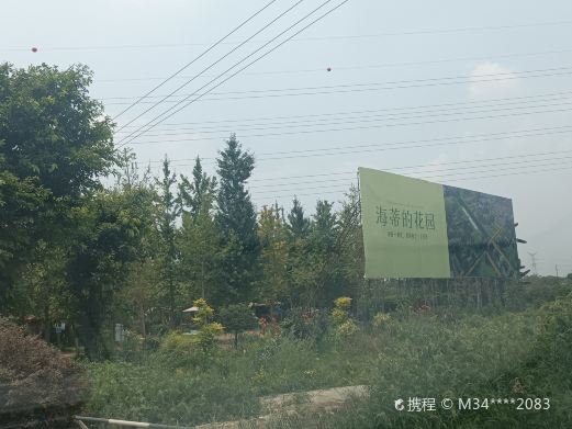 海蒂和噜噜的花园