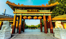 东丽公园-天津-小小的大熊熊
