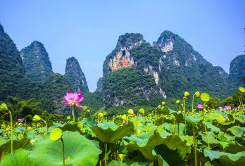 桂林+阳朔+漓江+相公山一日游【商务小车+可选英/法语向导】【一价门票全含，无自费景点，无强制消费！专业外语导游及多年经验老司机带队，客服24h1对1服务。】