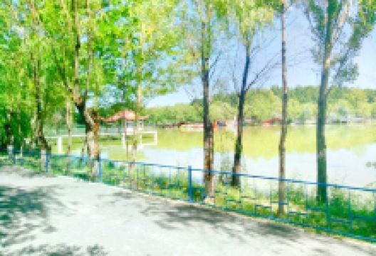 垂钓公园景点图片