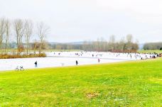 莱茵休闲公园-波恩