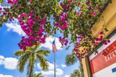 小哈瓦那-迈阿密